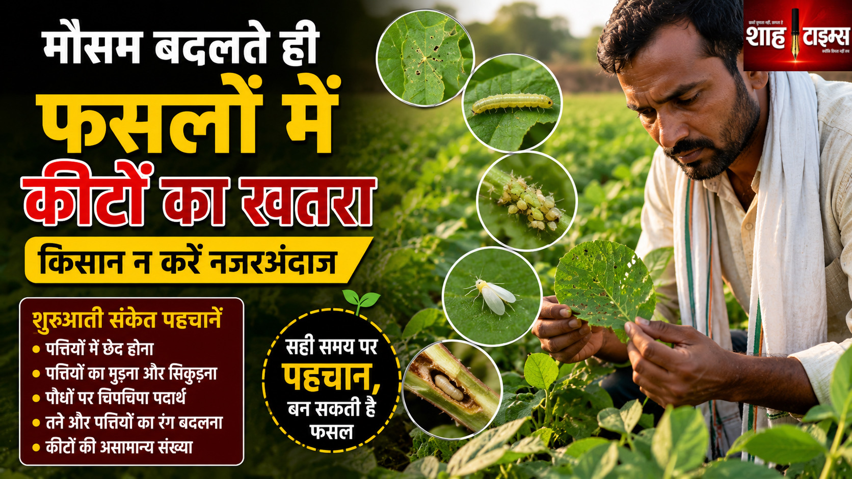 मौसम बदलते ही फसलों में कीटों का खतरा, इन संकेतों पर दें ध्यान
