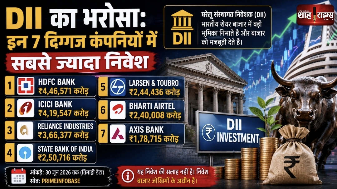डीआईआई का भरोसा: इन 7 दिग्गज कंपनियों में सबसे ज्यादा निवेश