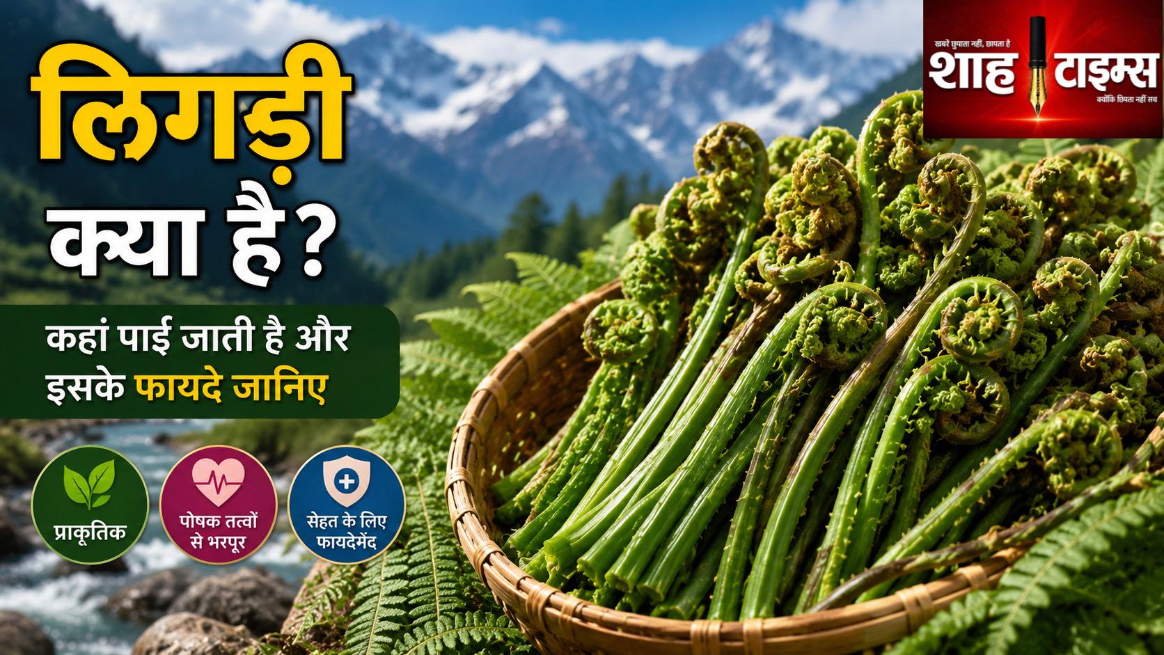 लिगड़ी क्या है? जानिए किस राज्य में मिलती है और इसके फायदे