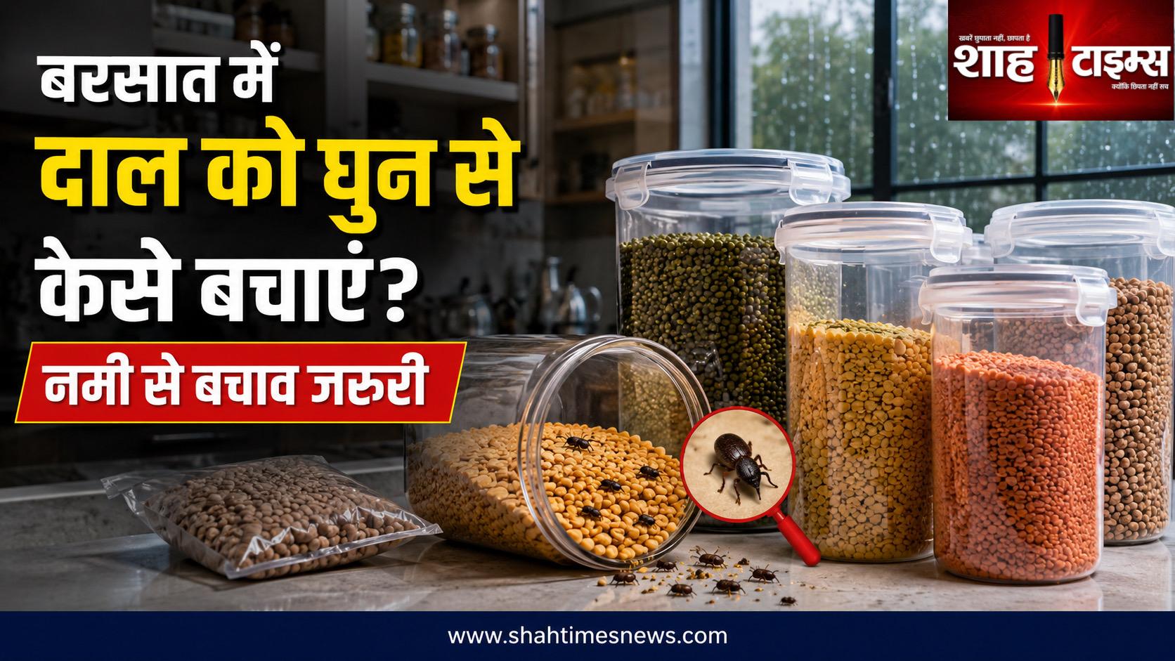 बरसात में दाल को घुन से बचाना है तो अपनाएं ये आसान घरेलू तरीके, नमी पर रखें खास नजर
