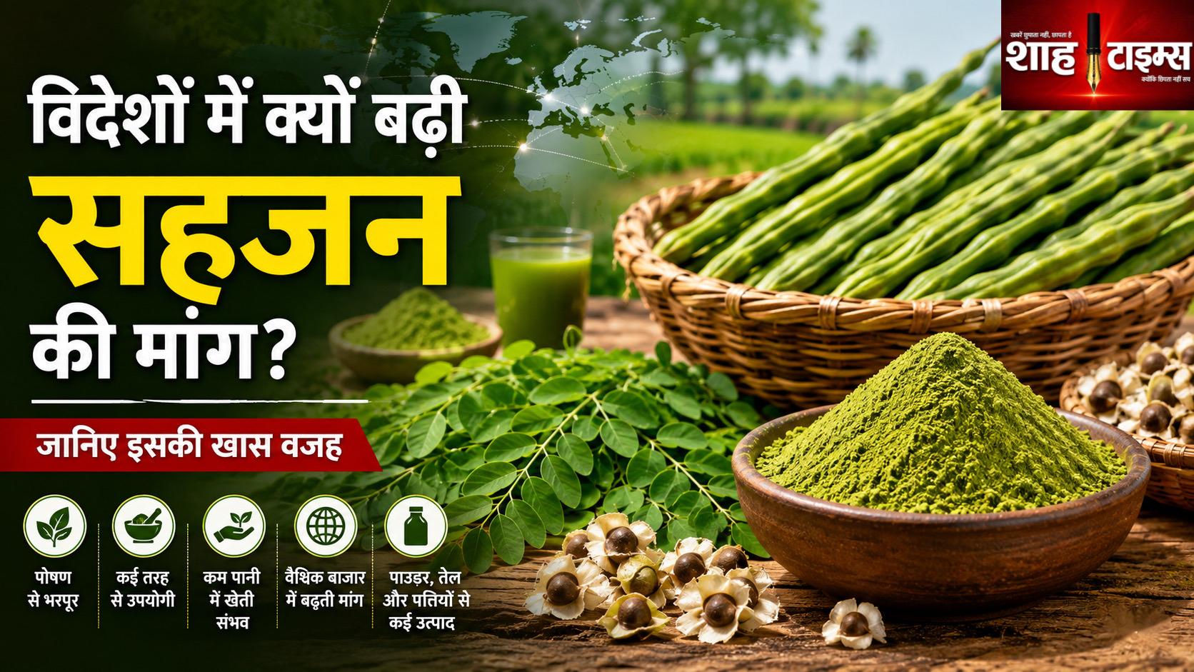सहजन भारत में ही नहीं, विदेशों में भी क्यों हो रहा लोकप्रिय? जानिए इसकी खास वजह