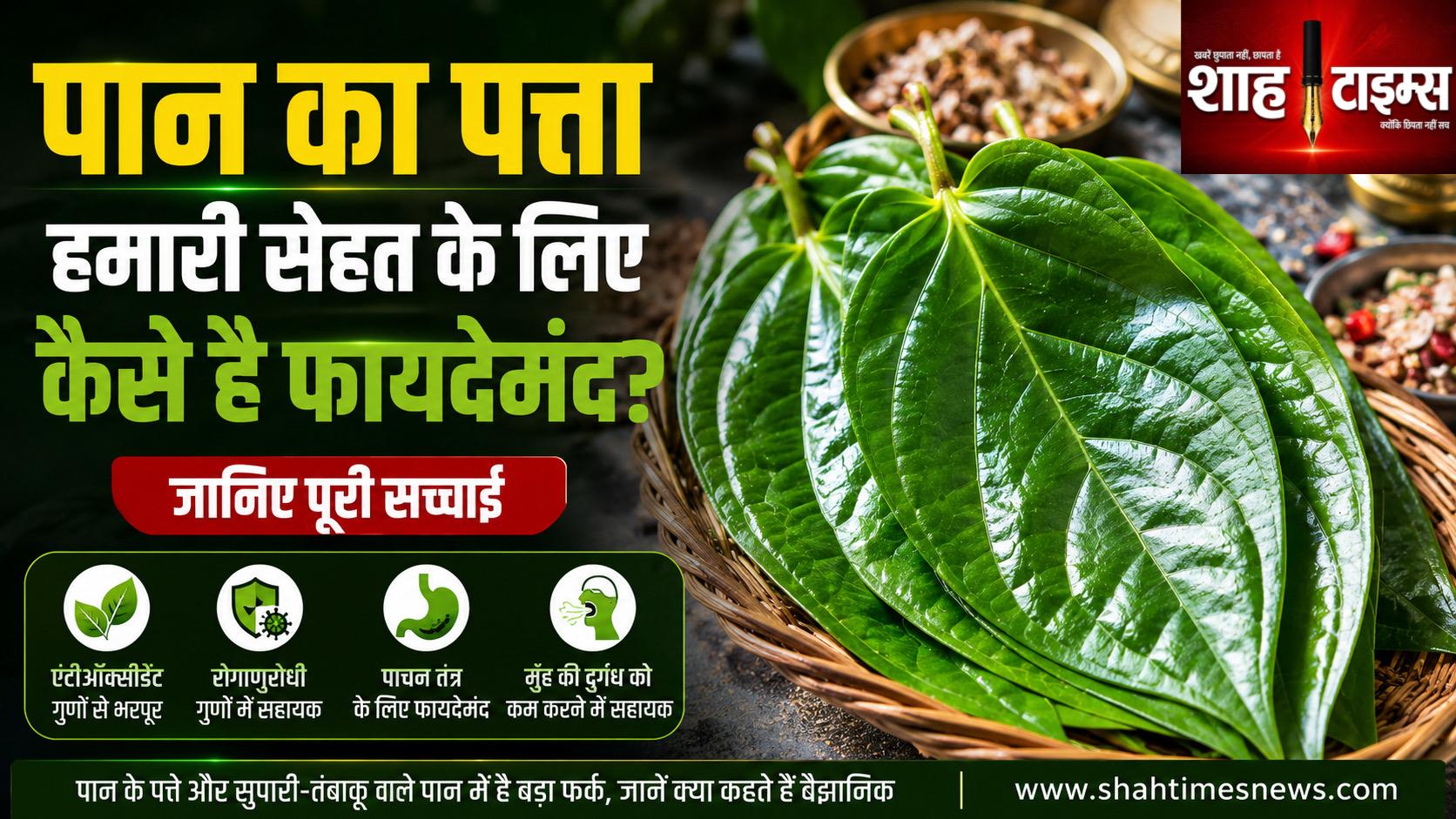 पान का पत्ता सेहत के लिए कितना फायदेमंद? जानिए क्या है वैज्ञानिक सच्चाई