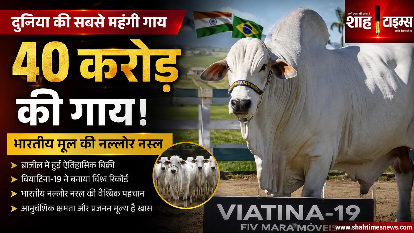 ब्राजील में बिकी दुनिया की सबसे महंगी गाय, कीमत करीब 40 करोड़ रुपये; भारतीय मूल की नल्लोर नस्ल ने बनाया रिकॉर्ड