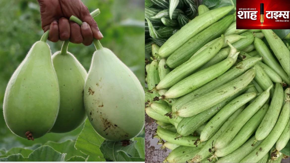 लौकी और तुरई का सेवन करने से सेहत पर कैसा पड़ता है असर? जानिए फायदे और जरूरी सावधानियां
