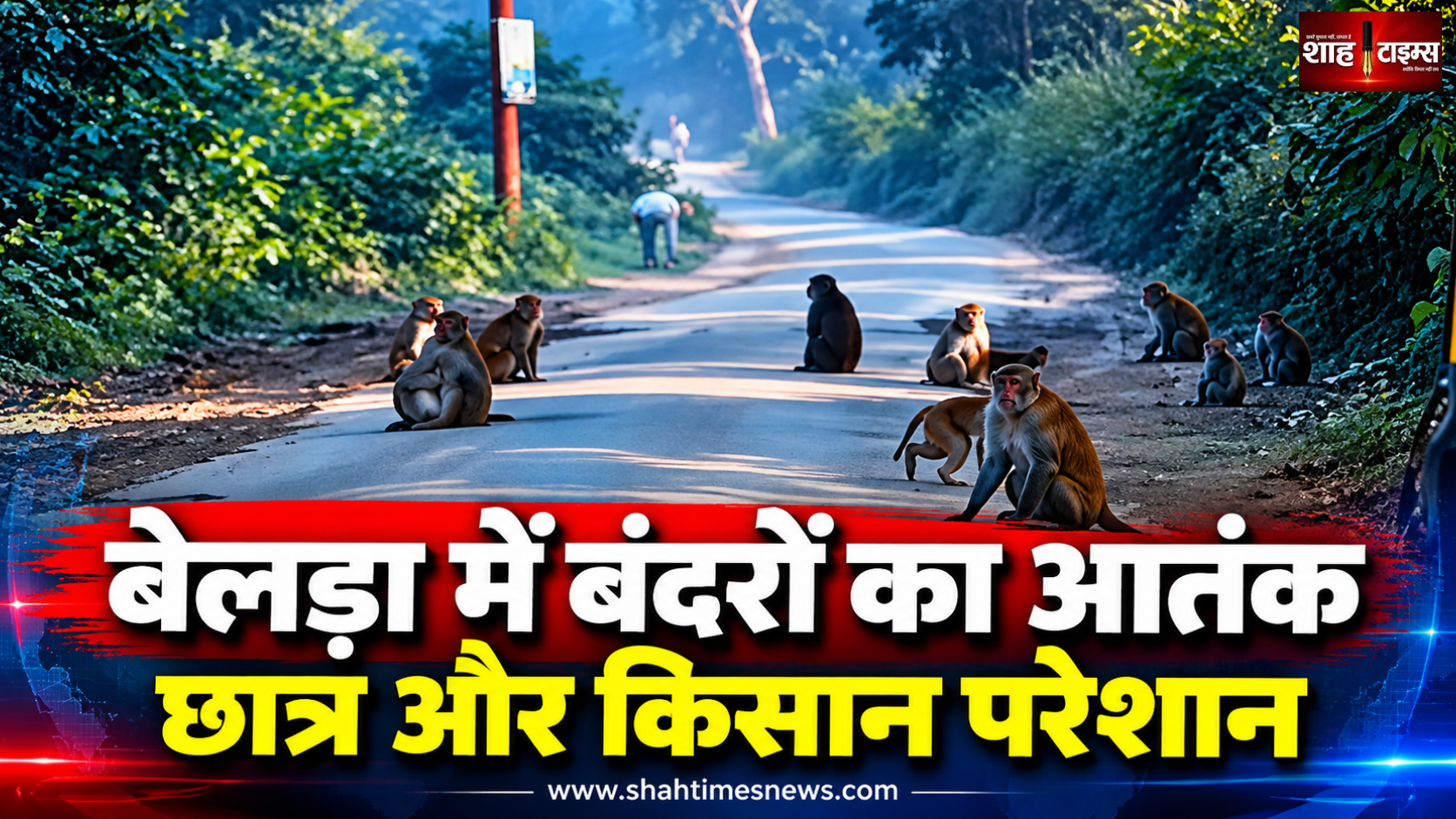 मुजफ्फरनगर के बेलड़ा गांव में बंदरों का आतंक, छात्रों और किसानों की बढ़ी परेशानी