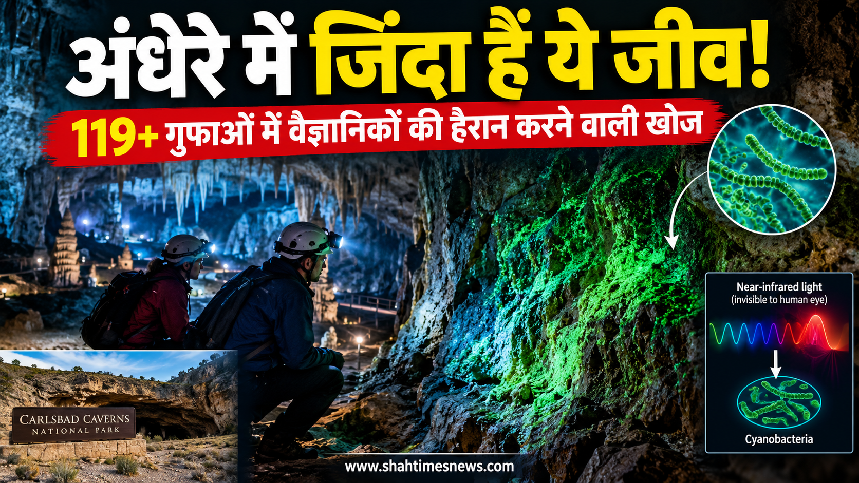 119 गुफाओं की अंधेरी दुनिया में मिला अनोखा जीवन, बिना दिखने वाली रोशनी से ऊर्जा लेते हैं सूक्ष्मजीव