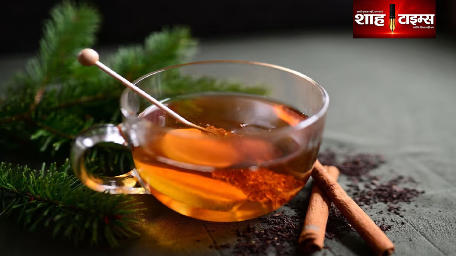 दालचीनी का पानी सेहत के लिए कितना फायदेमंद? जानिए इसके संभावित लाभ और सावधानियां